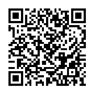 那些花花草草的呼吸也全都跟着夏天的节奏在动二维码生成