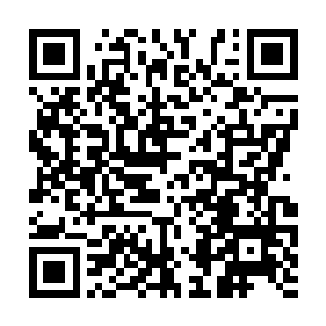 那些蚩家魔族的活动范围被限制在黑龙殿千里之内二维码生成