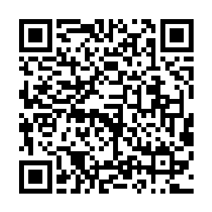 那些血牛外形都是一个个膀大腰圆的穿着重铠的肌肉男形象二维码生成