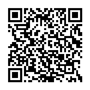 那些被关押在笼中的异兽都或多或少的有些区别二维码生成