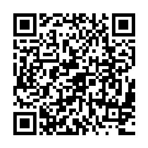 那些被故意引到远处的亡灵精魂听到了防御光幕的爆炸声二维码生成