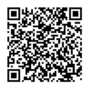 那些被紫云道人用神识与灵气刻录在上面的真义却是已经消失不见了二维码生成