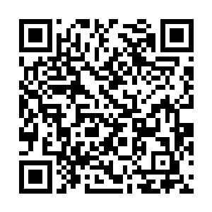 那些被轰雷炸平的地面居然就这样在快速的愈合着二维码生成