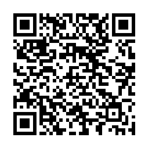 那些西街混子都是神一般的存在――在毛毛很小的时候二维码生成