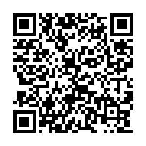 那些诡异能量在路过第九颗星辰之后突兀消失了二维码生成