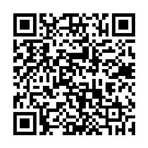 那些还在隐匿或者外面历练的天才们一个个来到焚川二维码生成