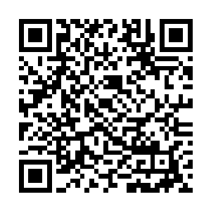 那些部落终会因为巫运之果的贪婪而被巫运之果吞噬二维码生成