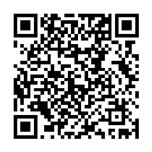 那些门派弟子都到六欲塔下面的万丈深渊去寻仙器去了二维码生成