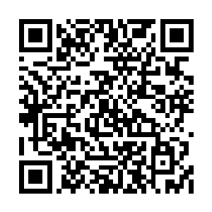 那些阿姨奶奶们竟然是在用我的歌跳广场舞……二维码生成