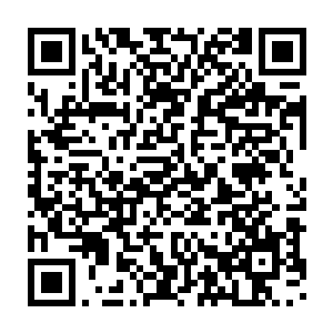 那些集合了九大空间的神异能量就那么呼呼地进入了最后的那个通道二维码生成