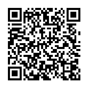 那些青壮年变化从一些意想不到的角落中出现了二维码生成