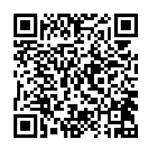 那些鬼界罗刹不仅仅是为我们减少了逃到这里的修士二维码生成