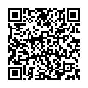 那些黑云的里细蛇疯狂无比的撕咬着那五道巨指二维码生成