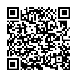 那亲手制造出这能量冲击波的两人到底是何等的可怕二维码生成