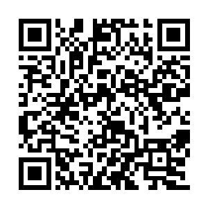 那人原本是来质问叶秋他们为什么在战斗胜利后二维码生成