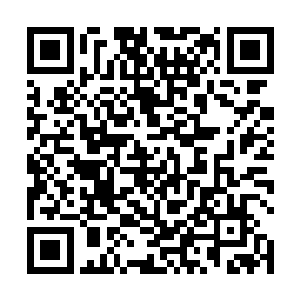 那人才吩咐几个青春亮丽的少女引着池老等人进入城堡二维码生成