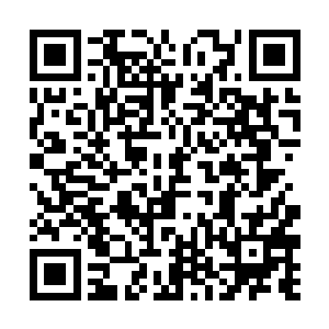 那人的胳膊让小楼的后背爆出的劲气给硬生生震断了二维码生成