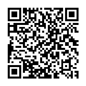 那人群中跪着的女子突然对着蒋侯府的大门发出一声尖利的叫喊二维码生成