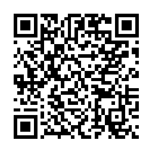 那什么w1战队尤其是那个靠脸吃饭的草莓跟陈诚比起来二维码生成