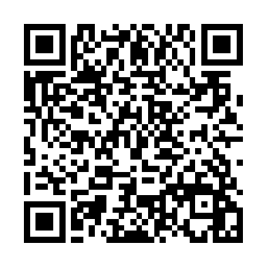 那今日你我兄弟便教这些狗贼见识一下我俩的本领~二维码生成