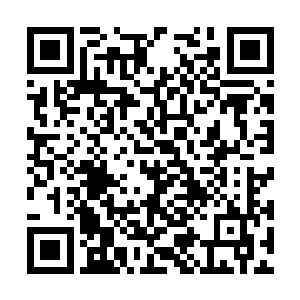 那他从这一战中幸存下来的几率自然也就水涨船高二维码生成