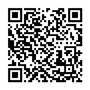 那他们来收尸的时候就不怕你是趴在地上装死的吗二维码生成