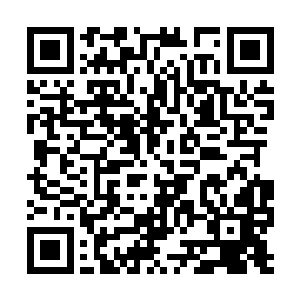 那他们这些饱读诗书的官员岂不是能去谈天论地了二维码生成