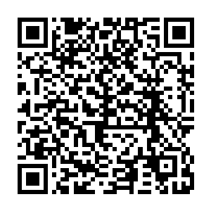 那他的儿孙就乐意让祖宗把自己一辈子的生老病死婚丧嫁娶都安排完了吗二维码生成