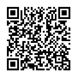 那他金羽白鹤最后肯定是将自己所有的一切全都自动粉碎二维码生成