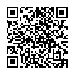 那以前为什么我每次把你背回家的时候你都哭着喊疼二维码生成