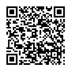 那会子早点把盛宁松和盛宁芳的身世说出去就好了二维码生成