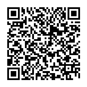 那传圣旨的人见整个佩城季府里面竟然没有一个人将皇上的圣旨当做一回事二维码生成