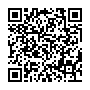 那伽总坛的重建通天塔计划因为缺少了隐龙的那一部分计划二维码生成