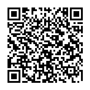 那位伟大的至高神大人留下一个奇怪的构装体看家应该也没什么大不了的二维码生成