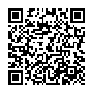 那位先前提问的记者被这条超级大重磅震得有些恍惚二维码生成