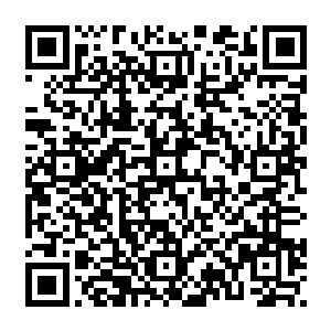 那位灵虚老祖的分身却遭到了一名同样是从大罗天界常融天域下界而来的对手截杀二维码生成