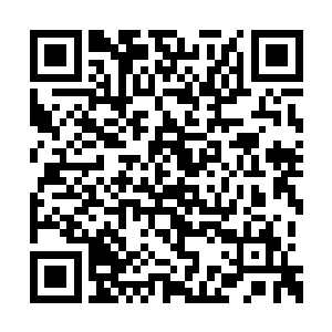 那位白发的王者告诉他他本人并不懂经商的事情二维码生成