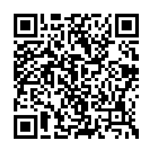 那位长老倒是笑眯眯地向着许紫烟拱手施了一礼二维码生成
