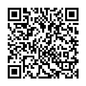 那你们是想继续住在小白房里面还是让朕给你们找个地方来住二维码生成