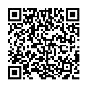 那你们说青龙族出来抢抢了紫雨宫和皓白宫势力范围中的财物二维码生成