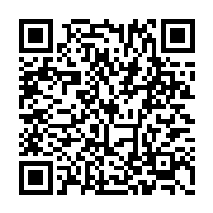 那你每天下午不会再接我去那家餐厅吃晚餐了吧二维码生成