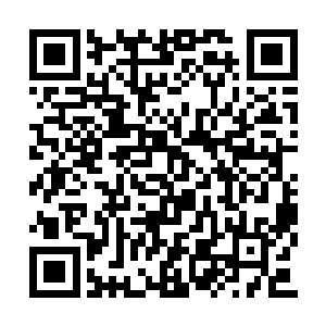 那你能跟我说说他们当年的病到底是怎么回事吗二维码生成