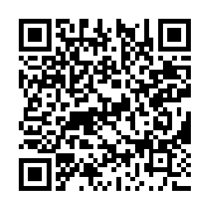 那你请专业摄影师来拍摄这些照片又有什么意义呢二维码生成