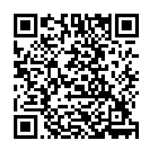 那便是谙熟结界术的梦婉约在他身上的五行封印动了手脚二维码生成