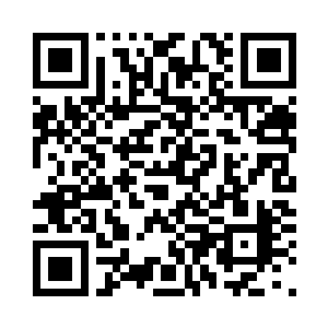 那修炼之地不应该这么快就出现才对二维码生成