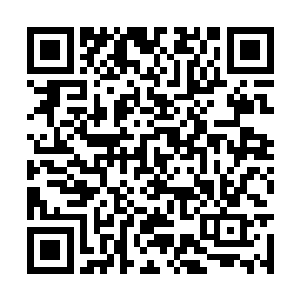 那修者惊愕地看着自己的法宝唐劫轻而易举的粉碎二维码生成