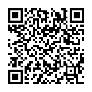 那僵尸身体上被攻击到的地方往外吱吱的冒着白烟二维码生成