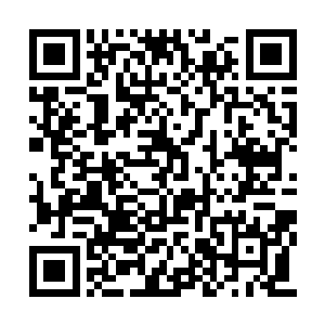 那元先生觉得修真门派的宗主应该是什么样子的二维码生成
