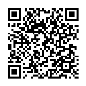 那元始天魔外面的封印本就是以老朽的本体为根基封印的二维码生成