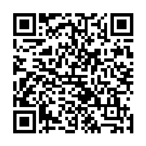 那八位俊美神修可是说过多么渴望能拜服在水淸大人身前的二维码生成